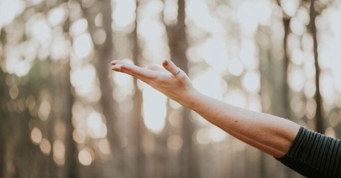 Acupuncture for Knee Osteoarthritis and Knee Surgery Recovery in Bend, Oregon 